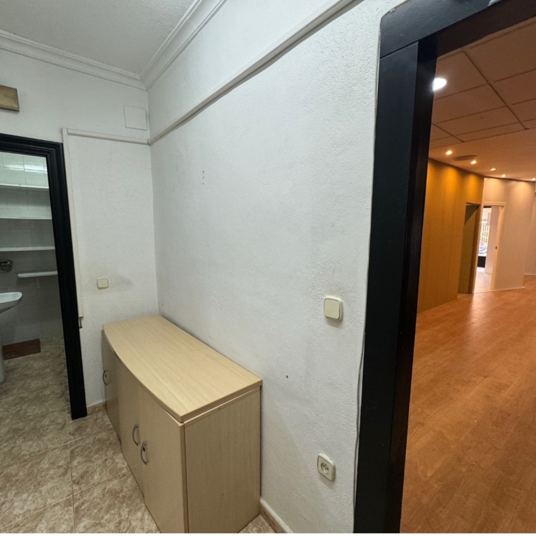 Commercial in Guardamar del Segura (Ref: DLF095)