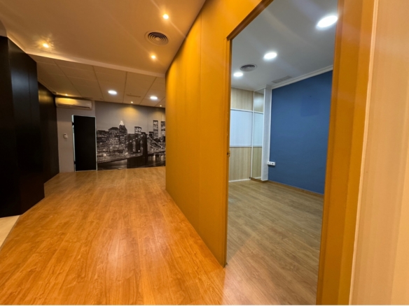 Commercial in Guardamar del Segura (Ref: DLF095)