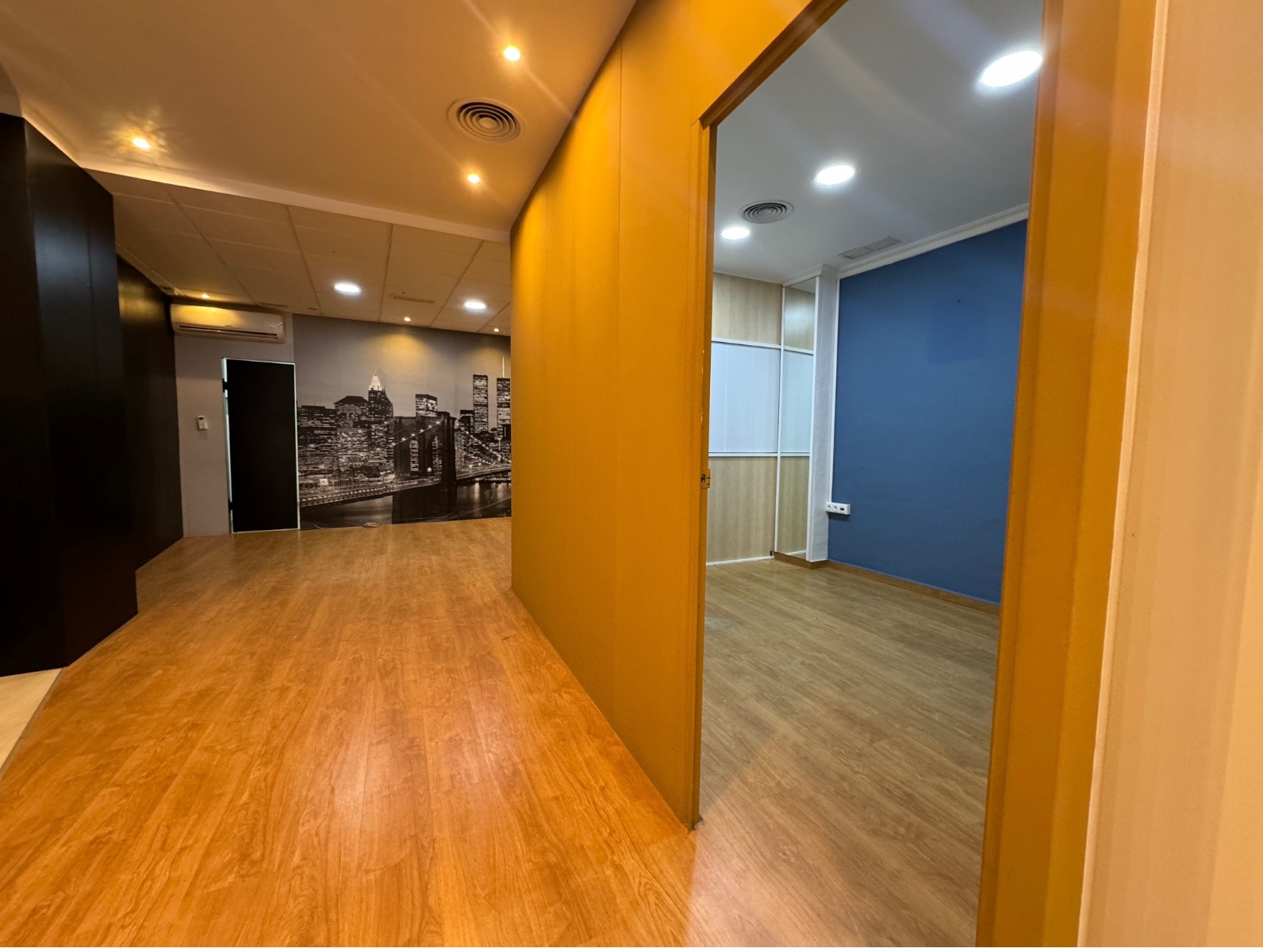 Commercial in Guardamar del Segura (Ref: DLF095)
