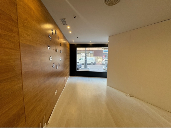 Commercial in Guardamar del Segura (Ref: DLF095)