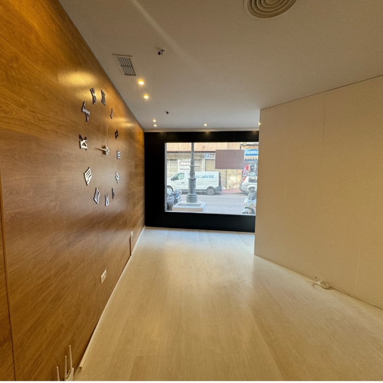 Commercial in Guardamar del Segura (Ref: DLF095)