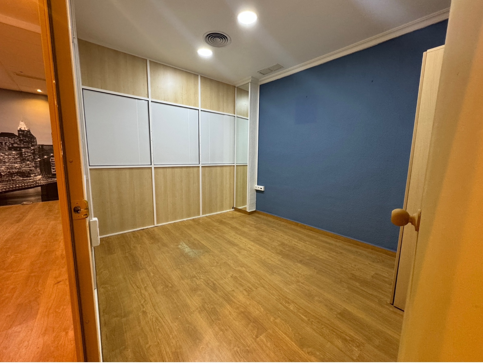 Commercial in Guardamar del Segura (Ref: DLF095)
