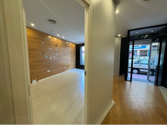 Commercial in Guardamar del Segura (Ref: DLF095)