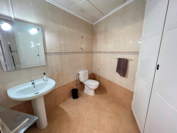 Commercial in Guardamar del Segura (Ref: DLF096)