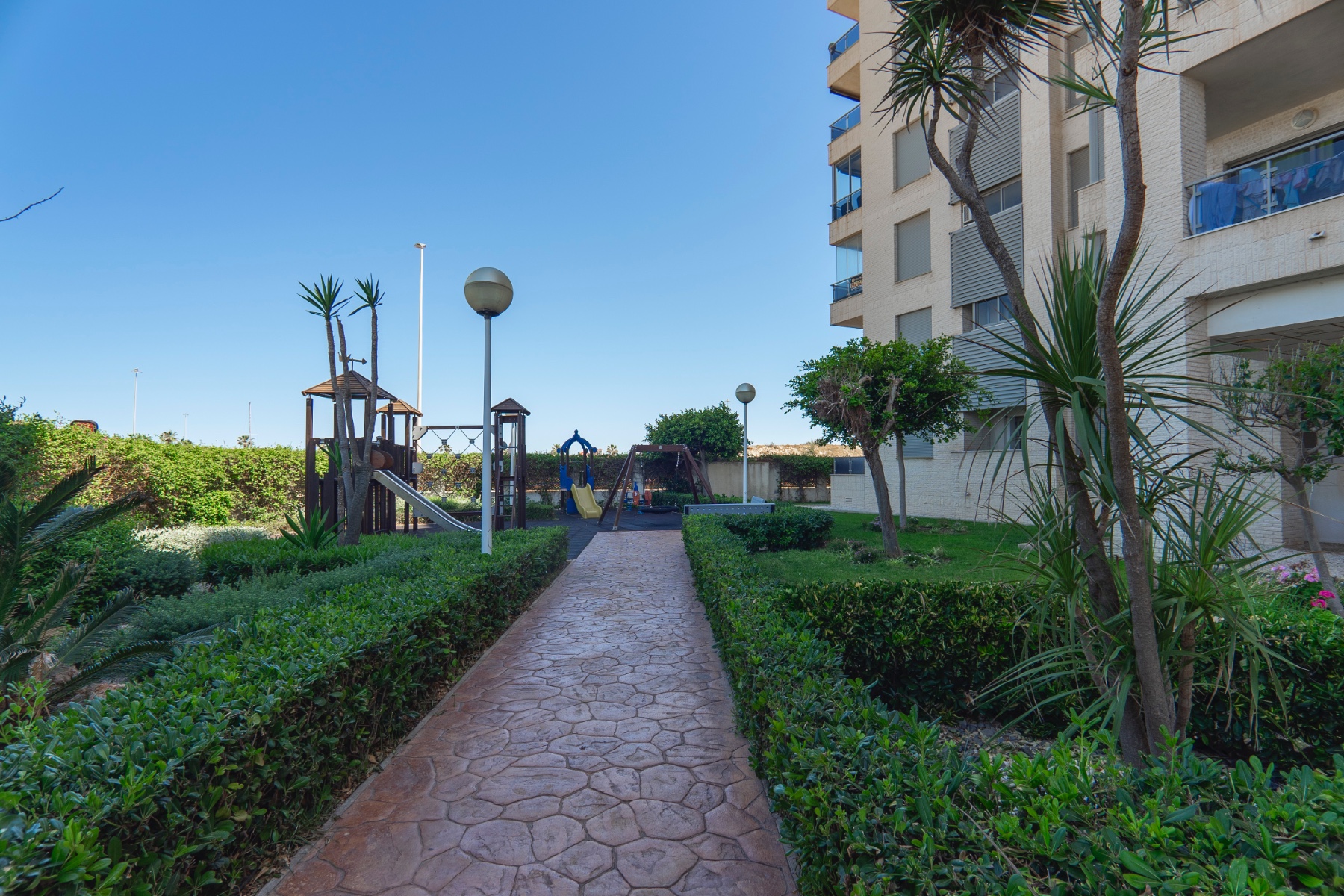 Apartment in Guardamar del Segura (Ref: DLF106)