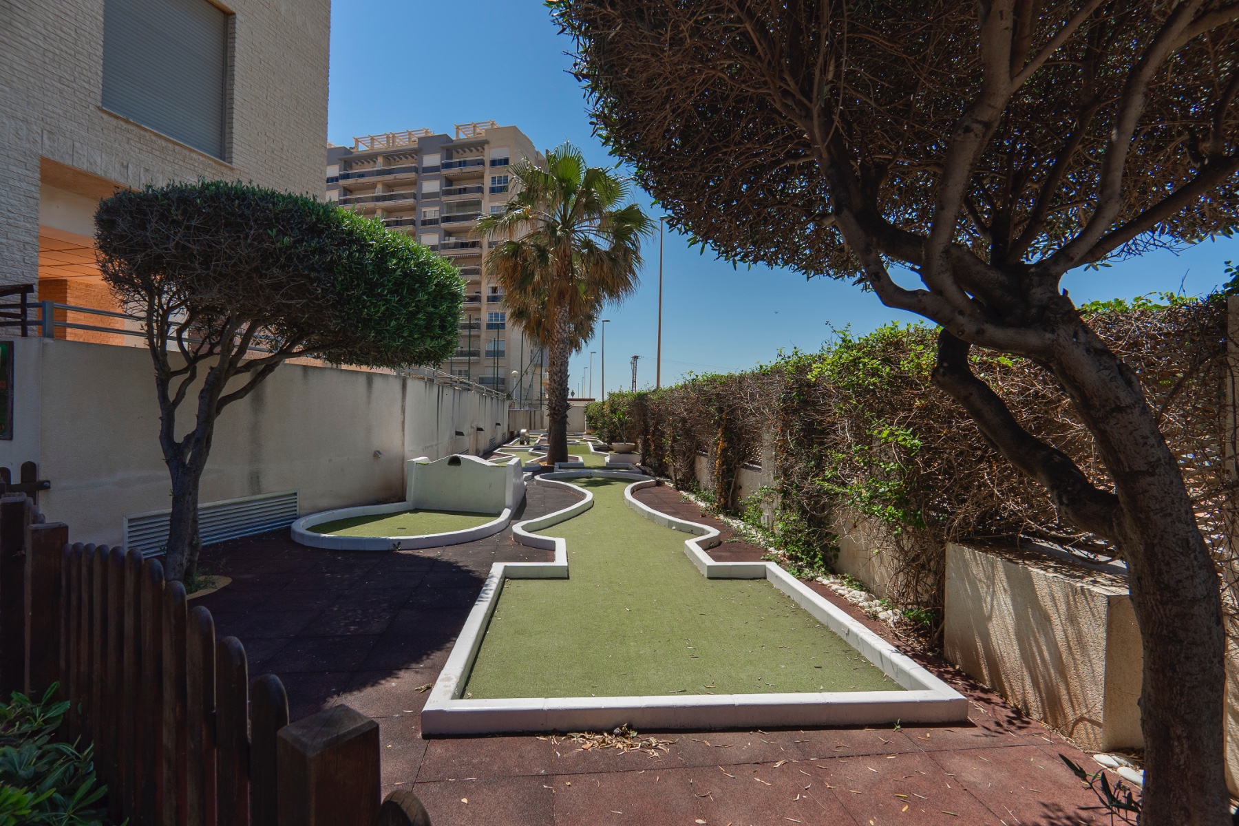 Apartment in Guardamar del Segura (Ref: DLF106)