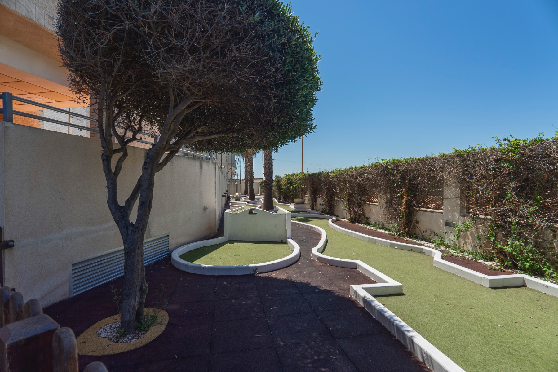 Apartment in Guardamar del Segura (Ref: DLF106)