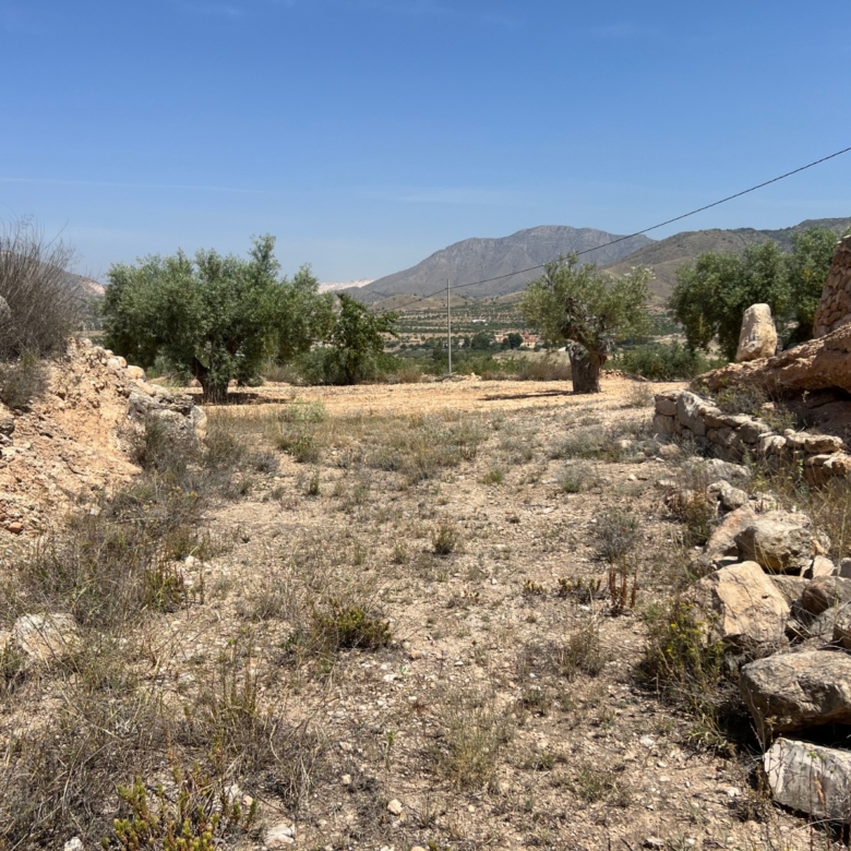 Plot in Barbarroja (Ref: AM-PARCMJ)
