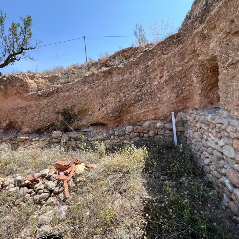 Plot in Barbarroja (Ref: AM-PARCMJ)