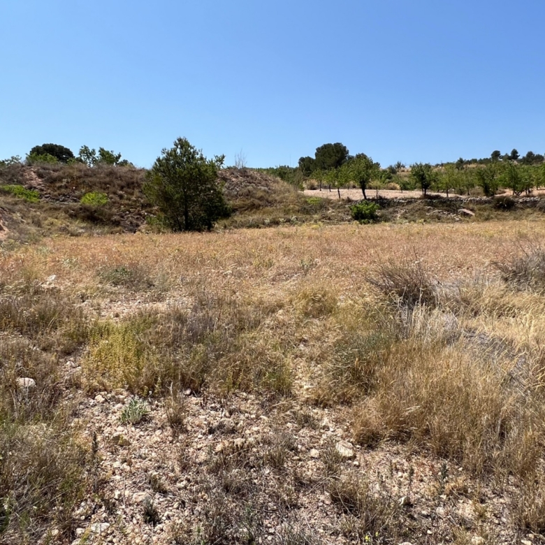 Plot in Barbarroja (Ref: AM-PARCMJ)