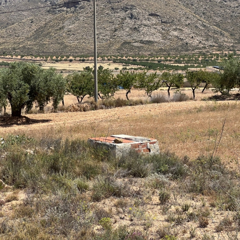 Plot in Barbarroja (Ref: AM-PARCMJ)