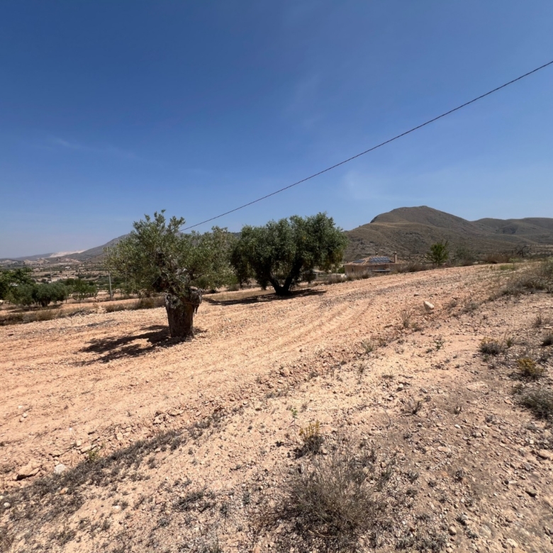 Plot in Barbarroja (Ref: AM-PARCMJ)