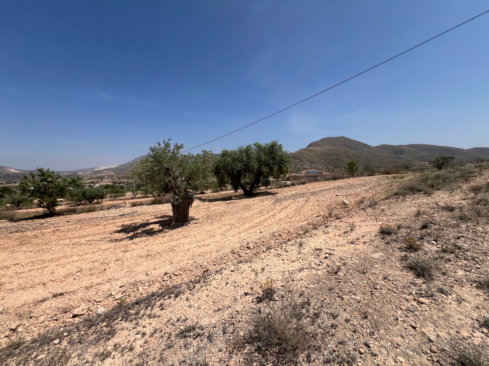 Plot in Barbarroja (Ref: AM-PARCMJ)