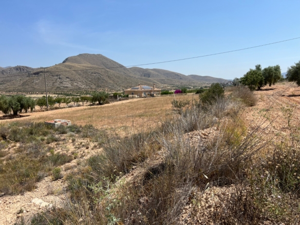 Plot in Barbarroja (Ref: AM-PARCMJ)
