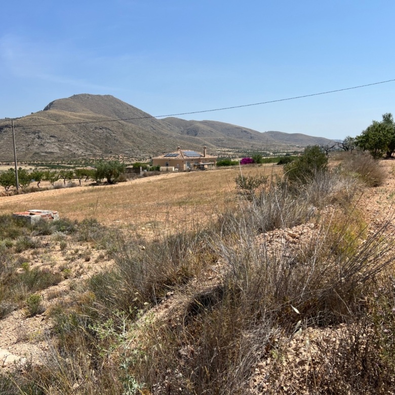 Plot in Barbarroja (Ref: AM-PARCMJ)