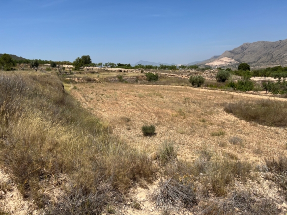 Plot in Barbarroja (Ref: AM-PARCMJ)