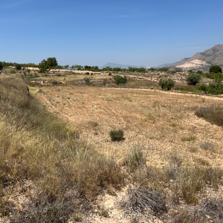 Plot in Barbarroja (Ref: AM-PARCMJCU)