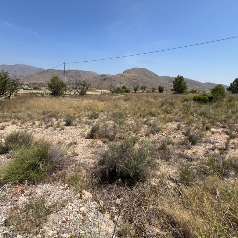 Plot in Barbarroja (Ref: AM-PARCMJCU)