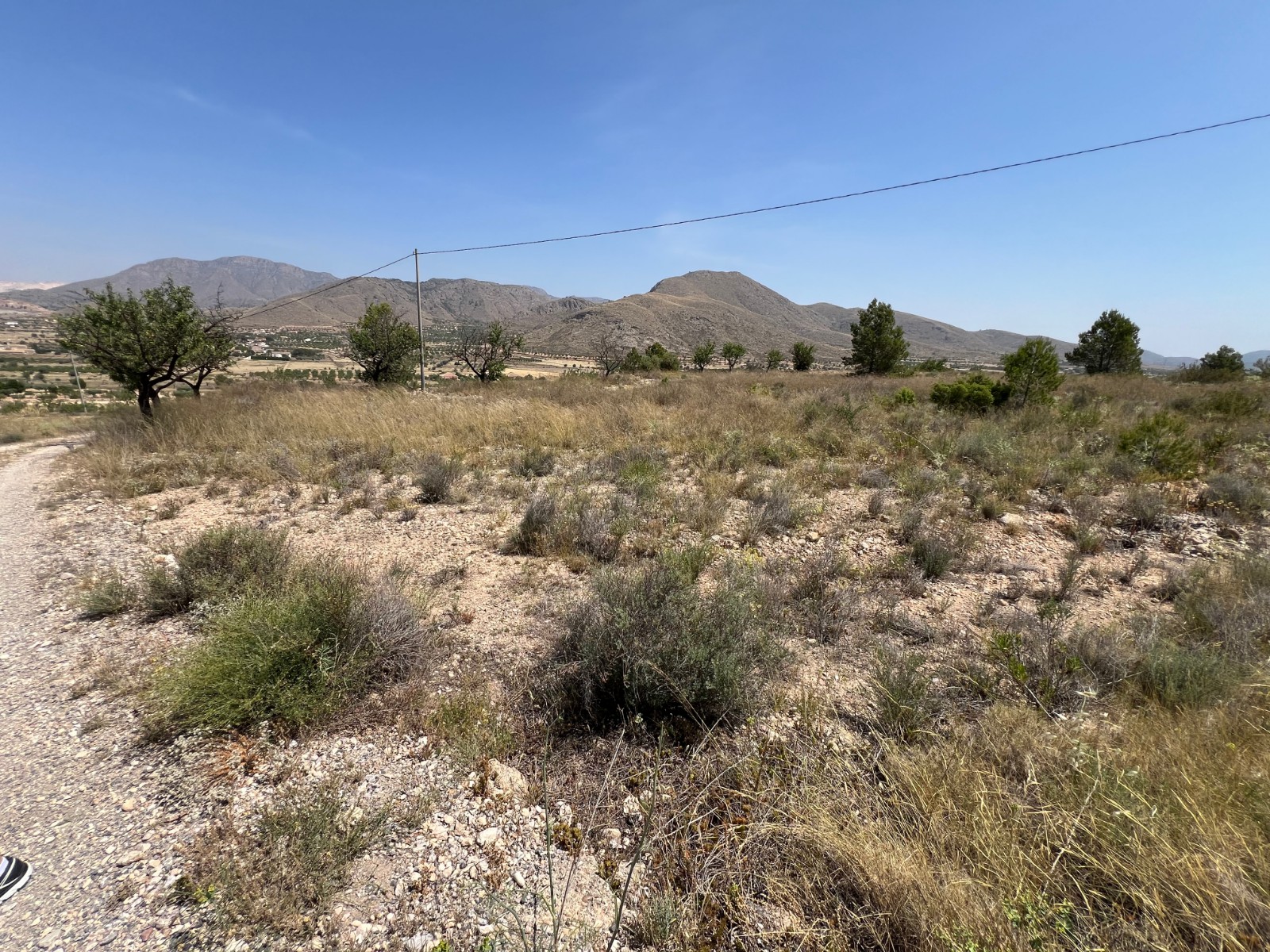 Plot in Barbarroja (Ref: AM-PARCMJCU)