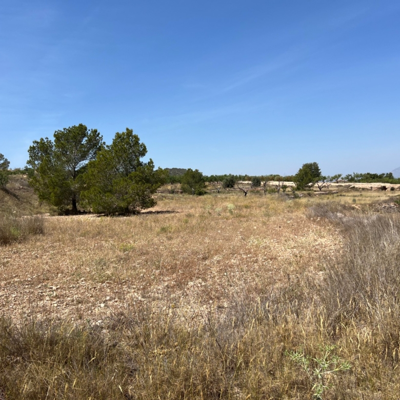 Plot in Barbarroja (Ref: AM-PARCMJCU)