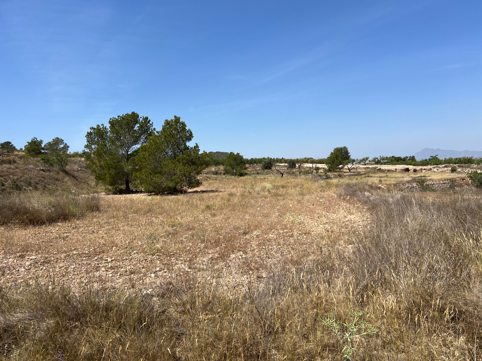 Plot in Barbarroja (Ref: AM-PARCMJCU)