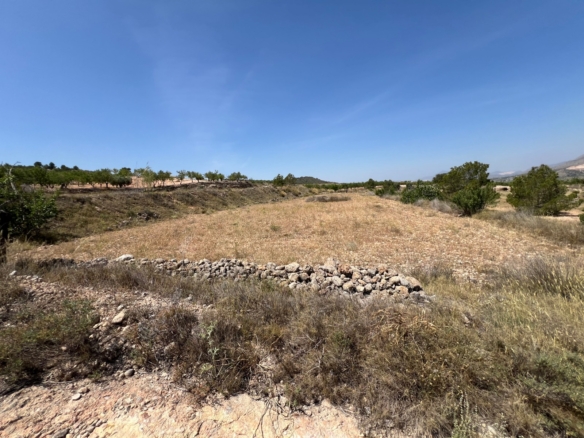 Plot in Barbarroja (Ref: AM-PARCMJCU)