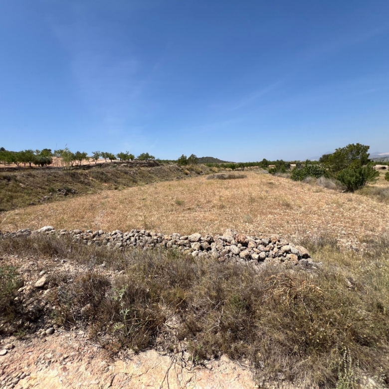 Plot in Barbarroja (Ref: AM-PARCMJCU)
