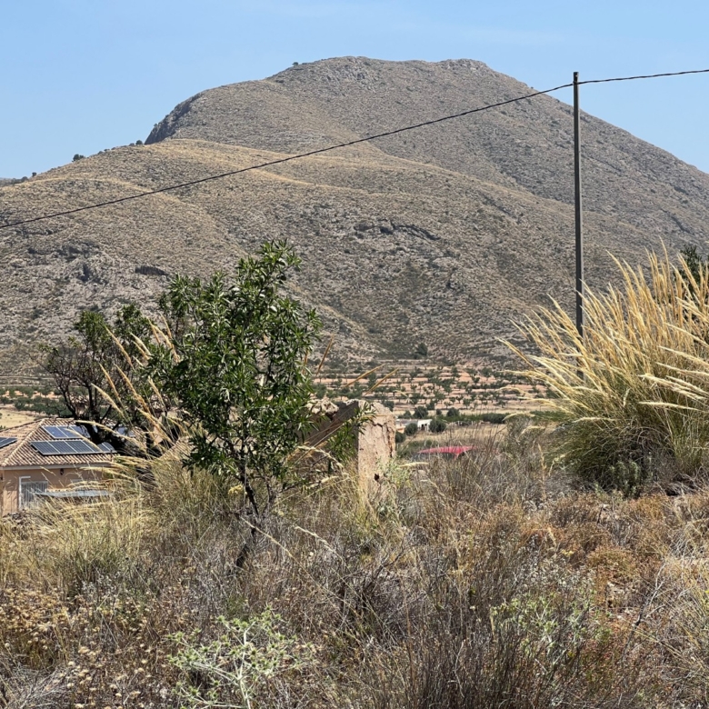 Plot in Barbarroja (Ref: AM-PARCMJCU)