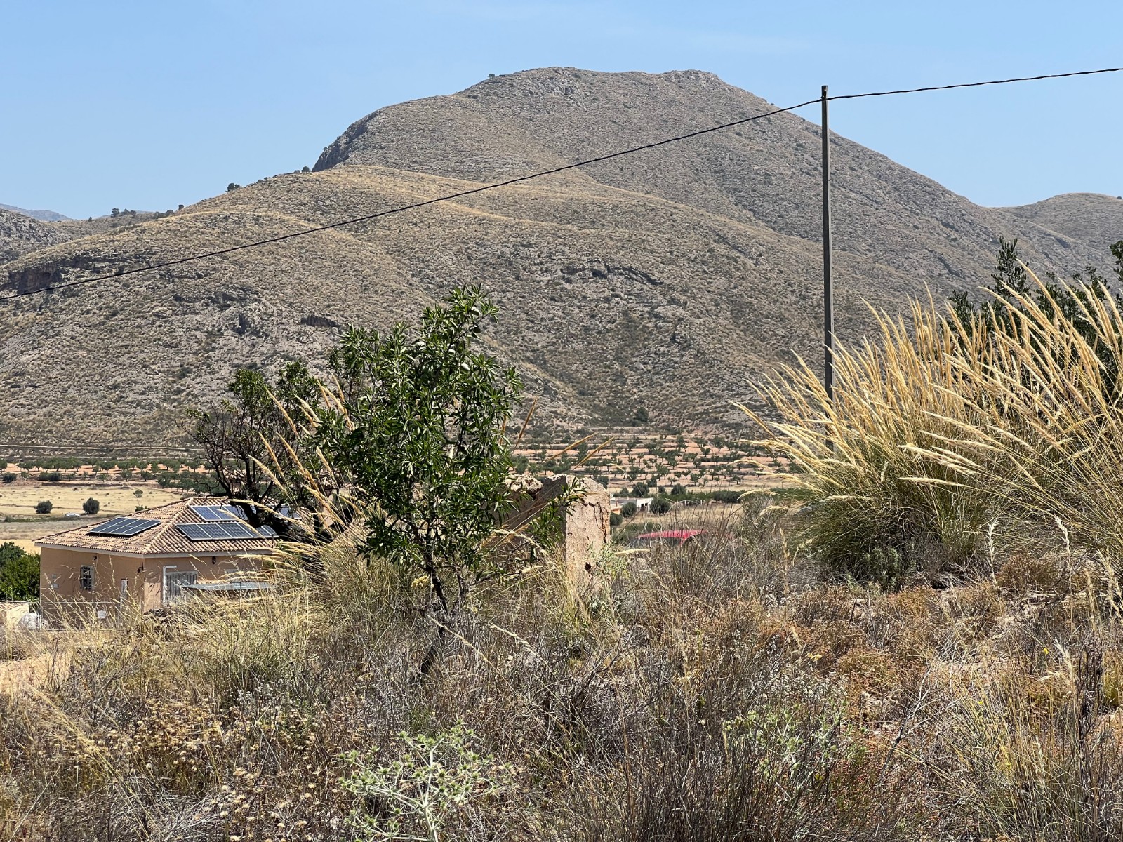 Plot in Barbarroja (Ref: AM-PARCMJCU)