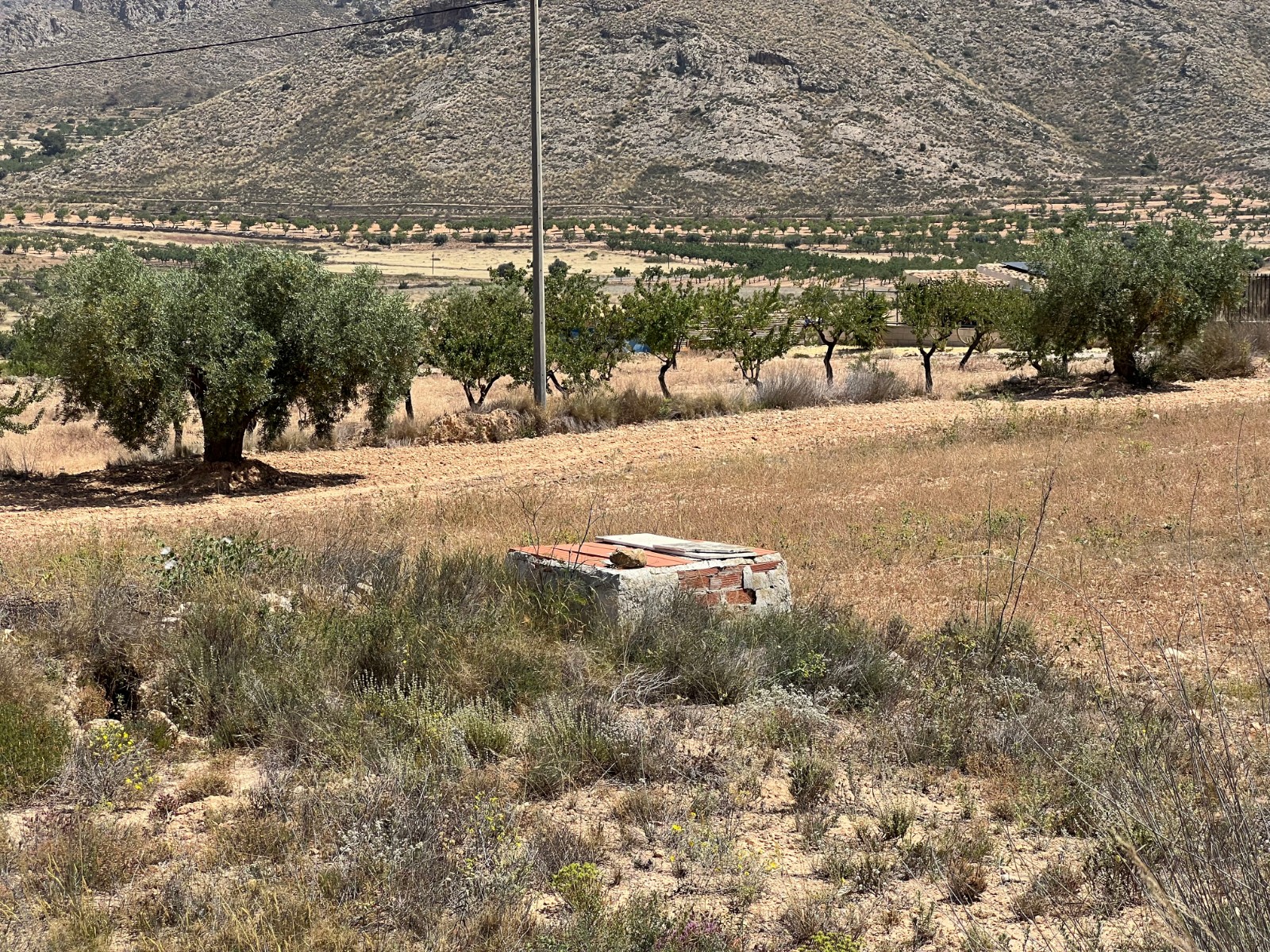 Plot in Barbarroja (Ref: AM-PARCMJCU)