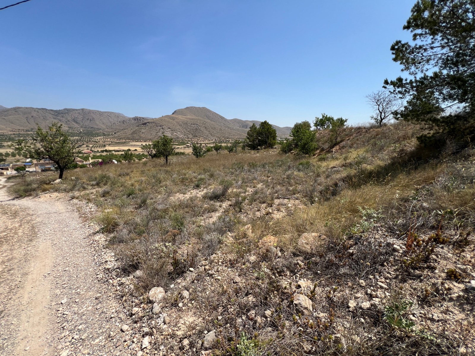 Plot in Barbarroja (Ref: AM-PARCMJCU)