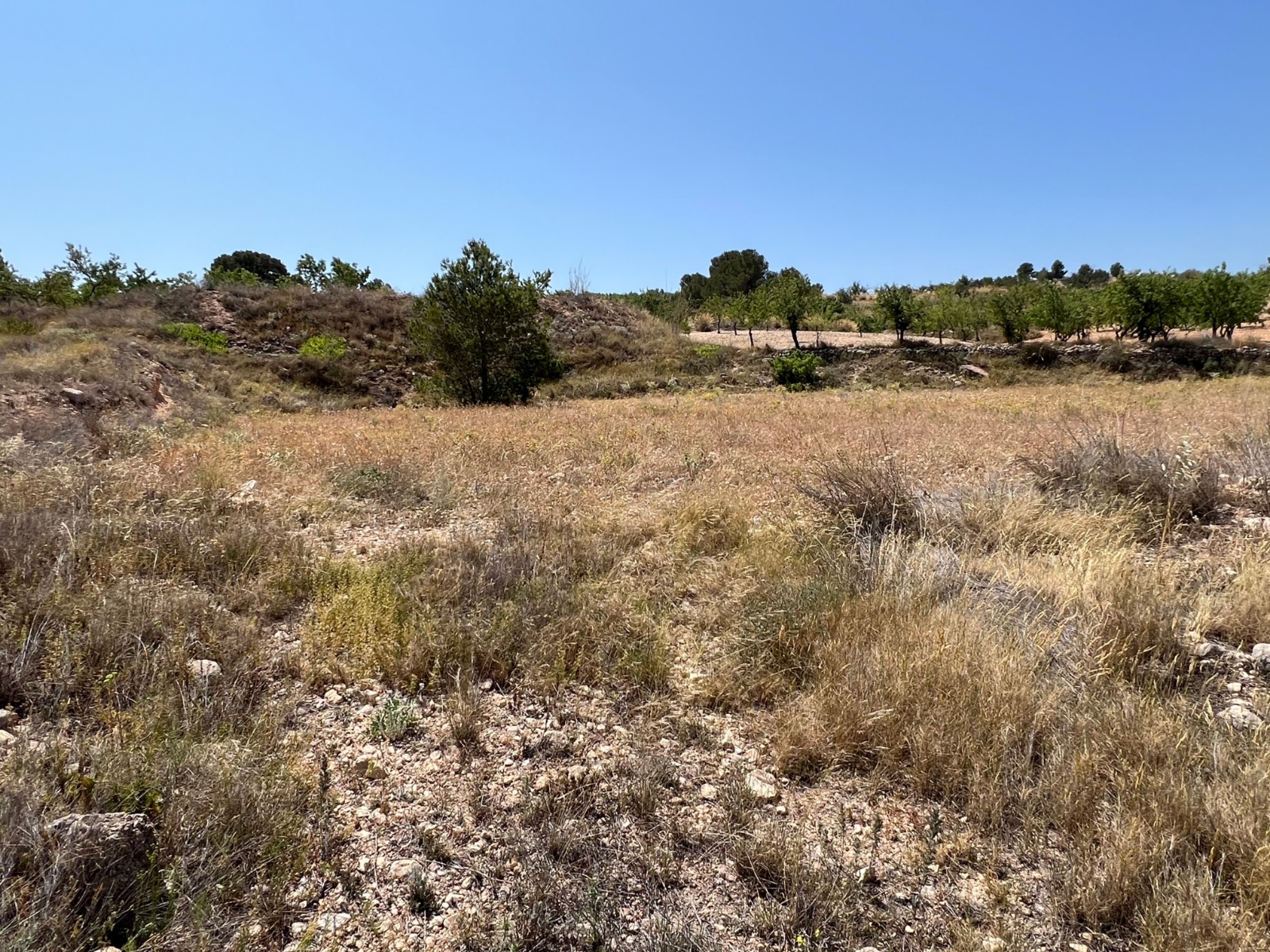 Plot in Barbarroja (Ref: AM-PARCMJCU)
