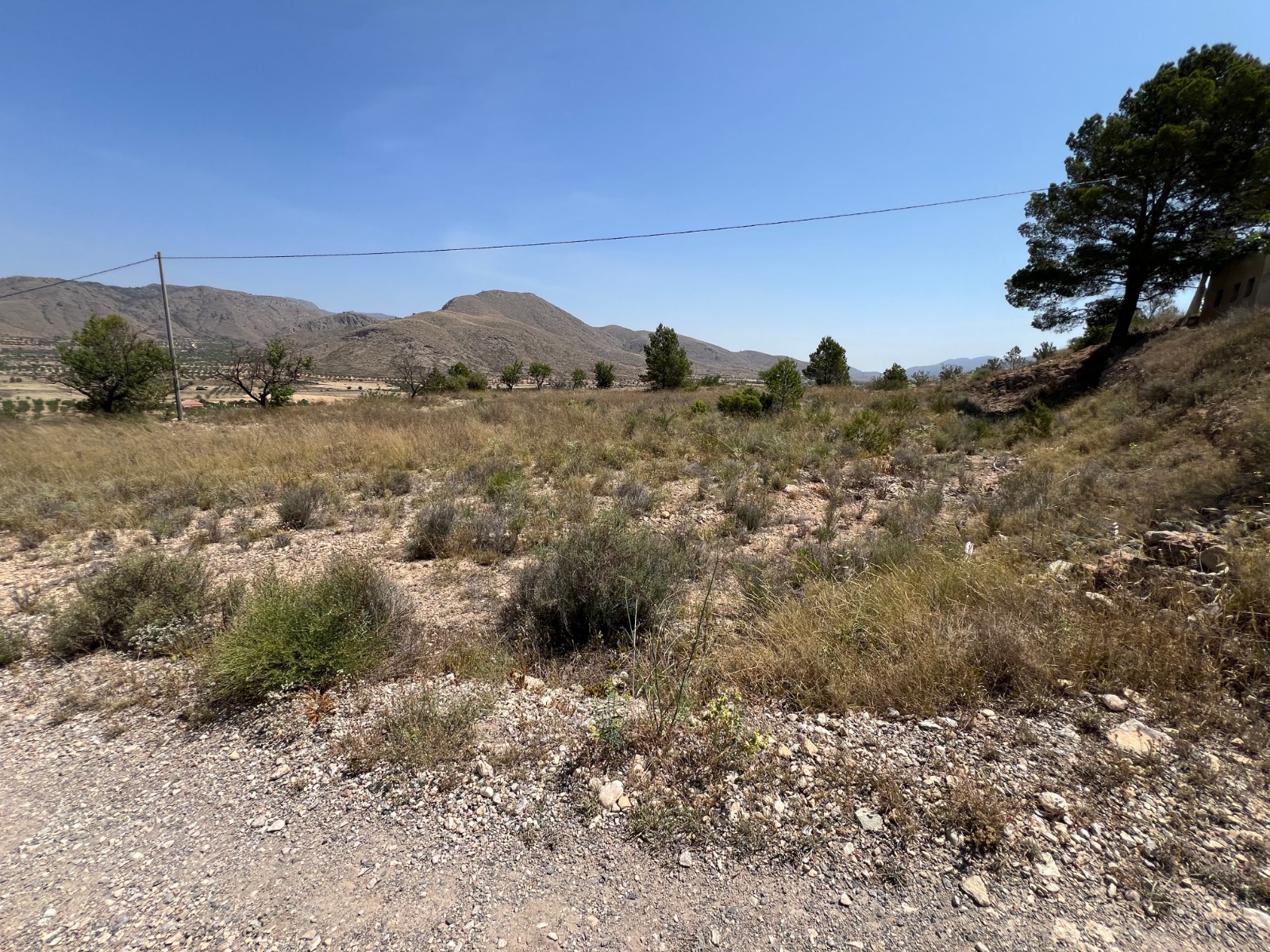 Plot in Barbarroja (Ref: AM-PARCMJCU)