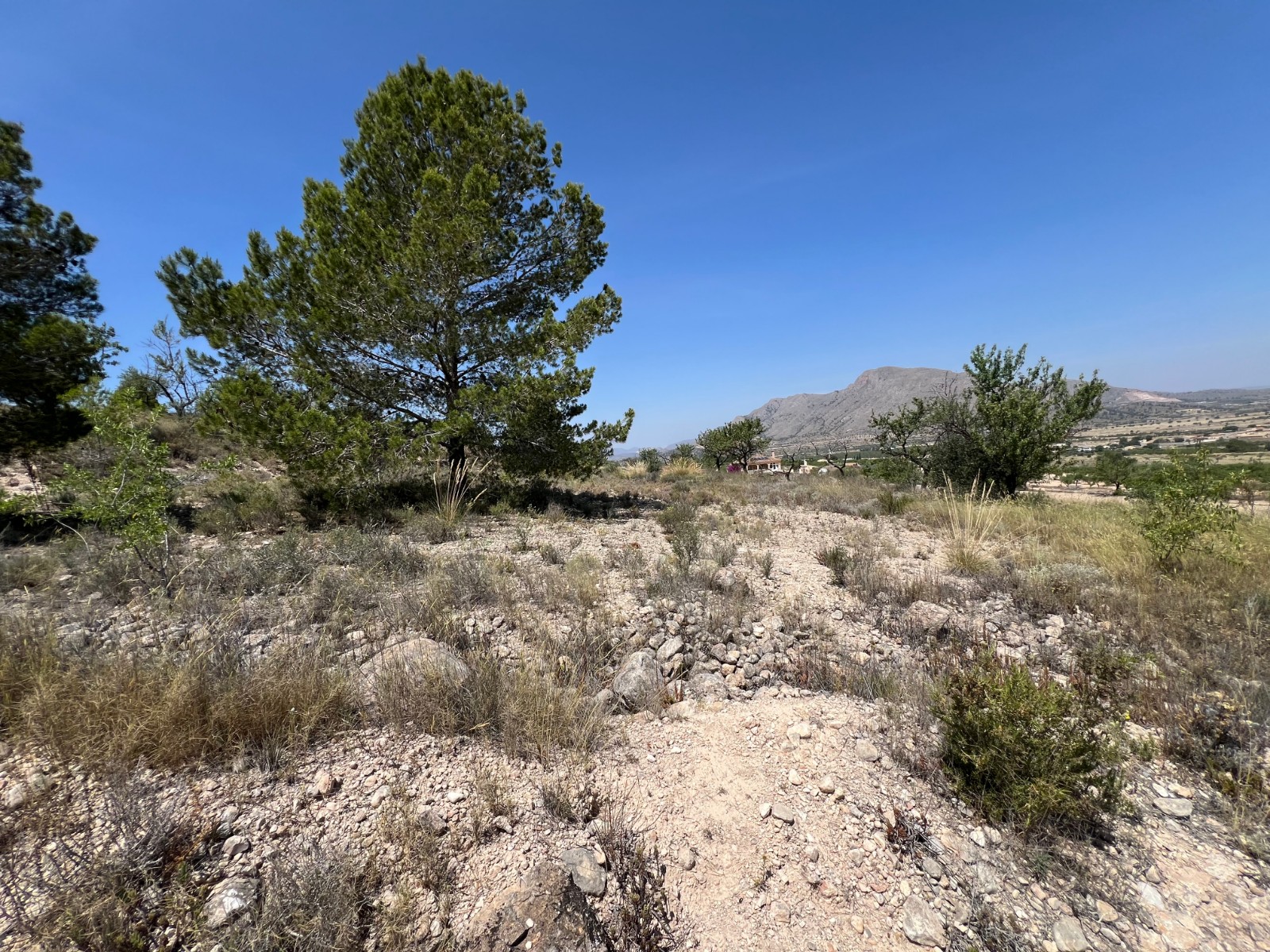 Plot in Barbarroja (Ref: AM-PARCMJCU)