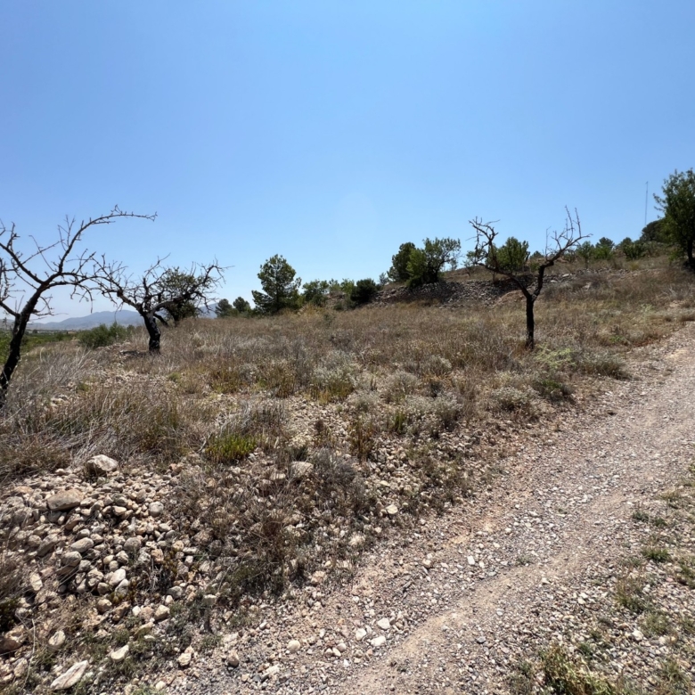 Plot in Barbarroja (Ref: AM-PARCMJCU)