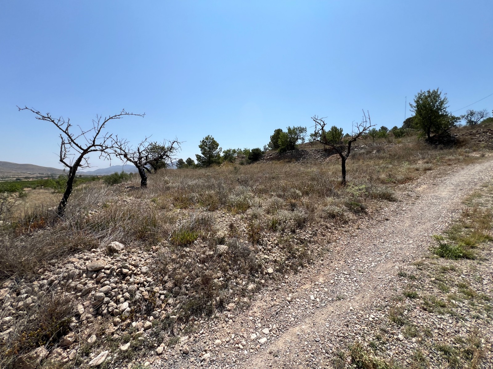 Plot in Barbarroja (Ref: AM-PARCMJCU)