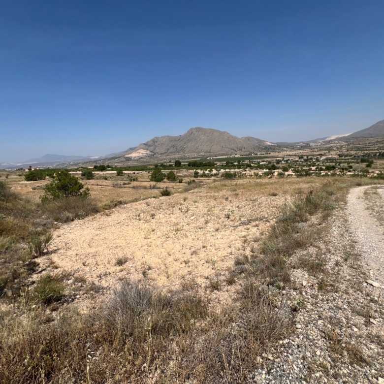 Plot in Barbarroja (Ref: AM-PARCMJCU)