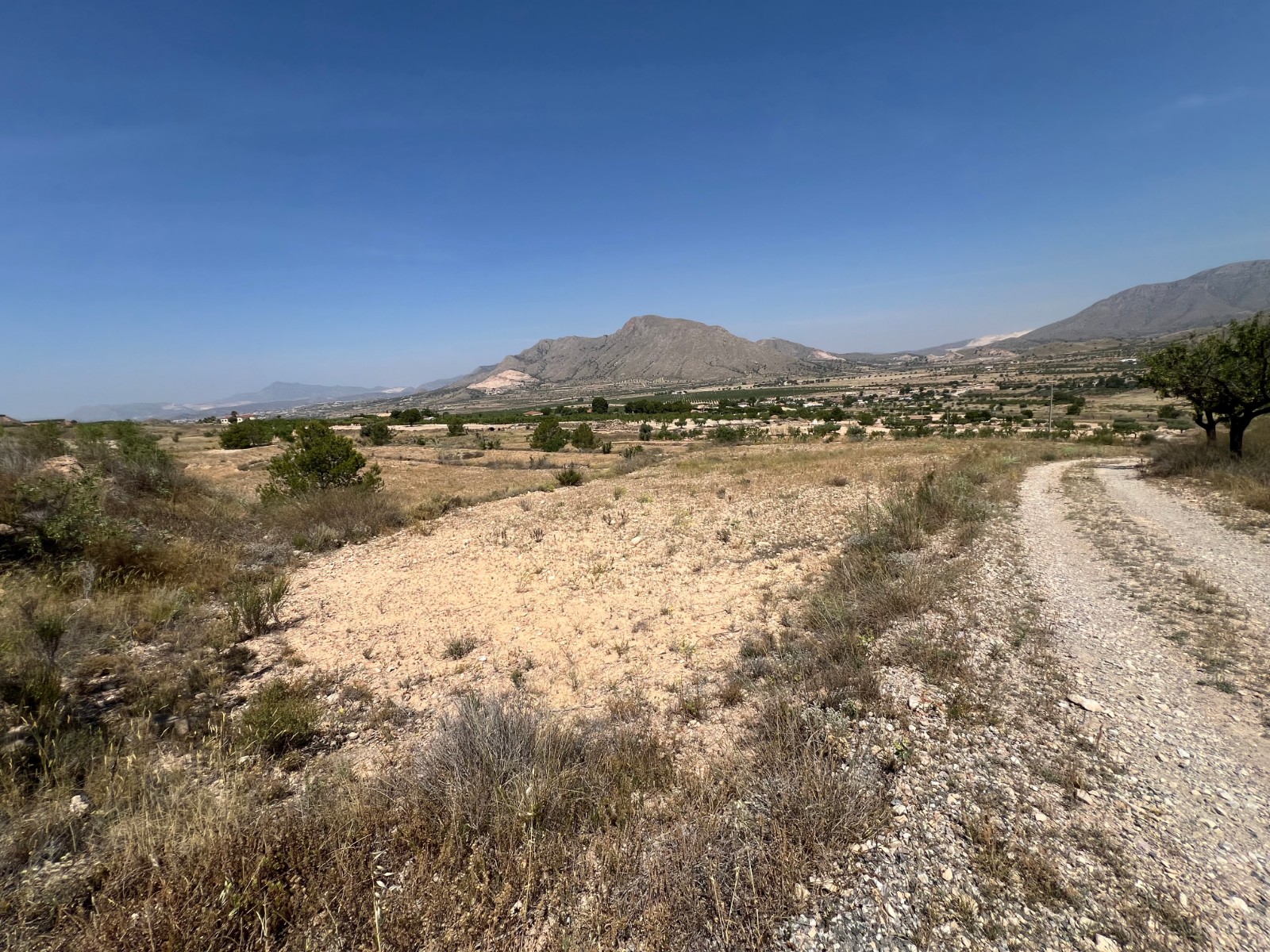 Plot in Barbarroja (Ref: AM-PARCMJCU)