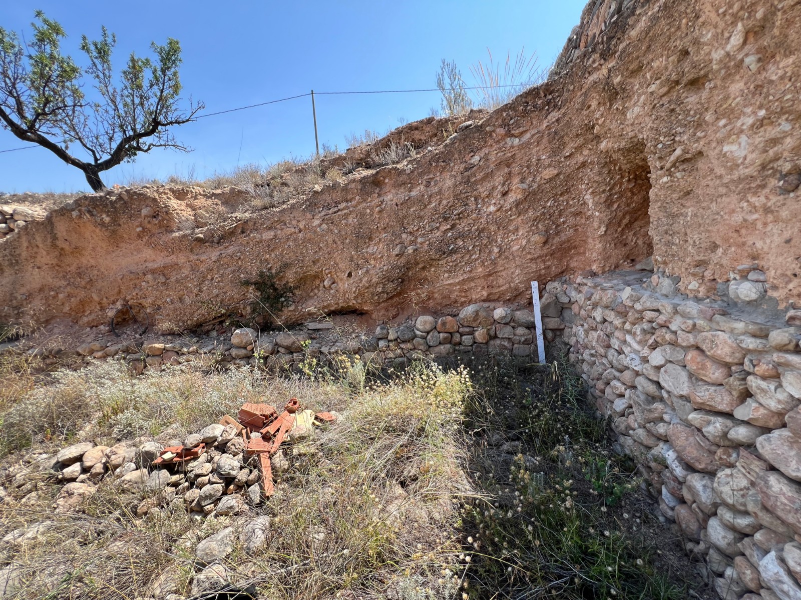 Plot in Barbarroja (Ref: AM-PARCMJCU)