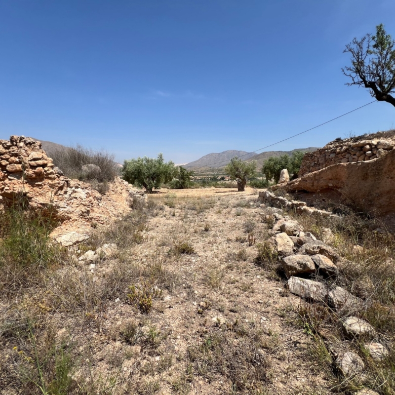 Plot in Barbarroja (Ref: AM-PARCMJCU)