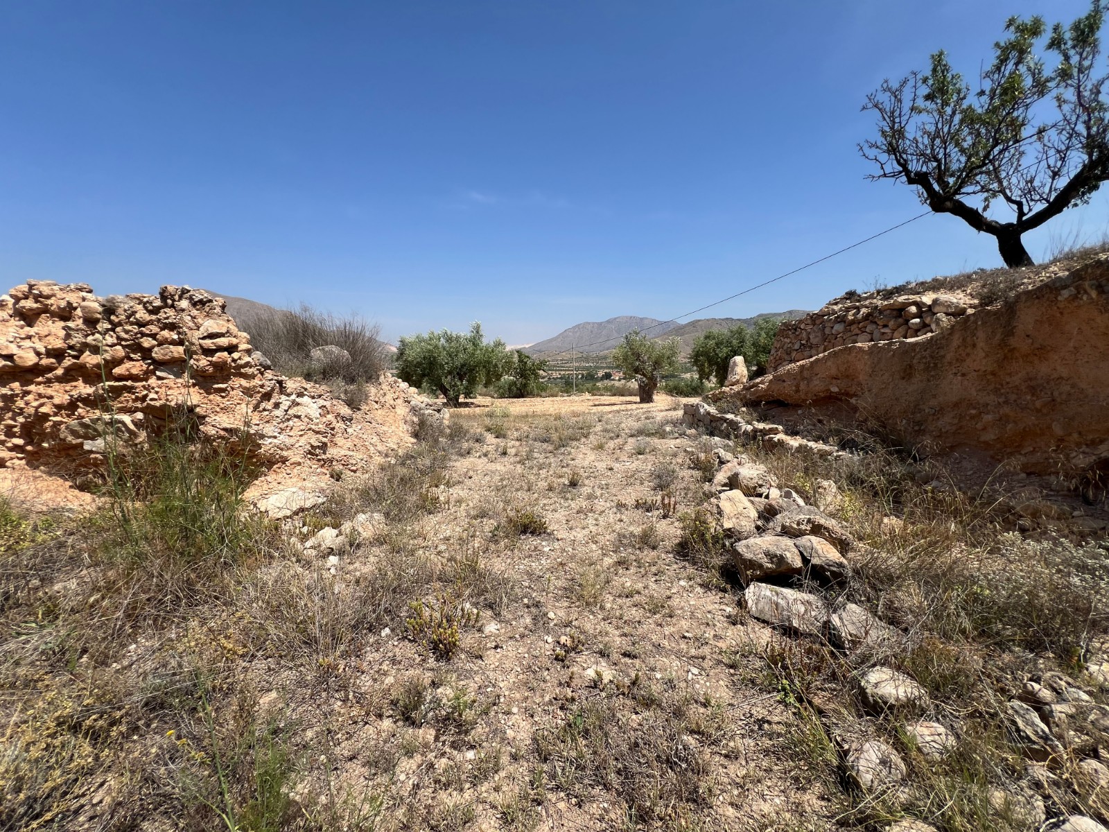 Plot in Barbarroja (Ref: AM-PARCMJCU)