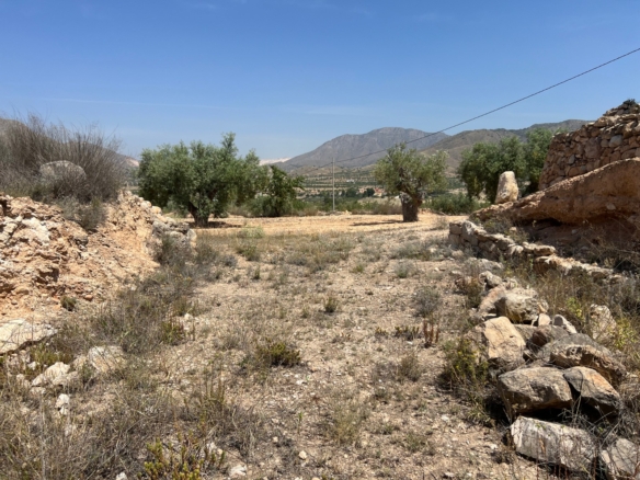 Plot in Barbarroja (Ref: AM-PARCMJCU)