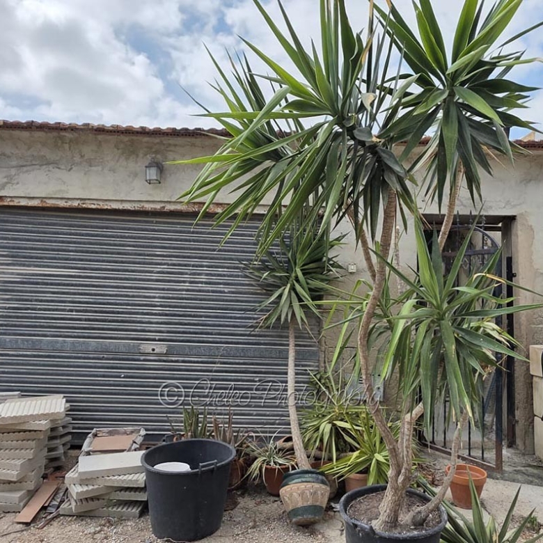Town House in Catral (Ref: CS2093)