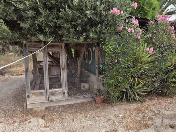 Town House in Catral (Ref: CS2093)