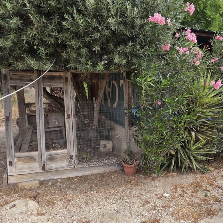 Town House in Catral (Ref: CS2093)