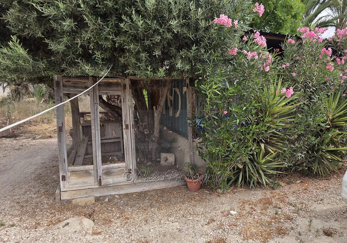 Town House in Catral (Ref: CS2093)