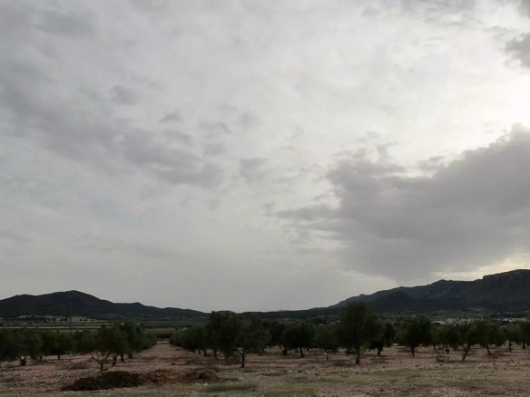 Villa in Salinas (Ref: 5031 MT4829)