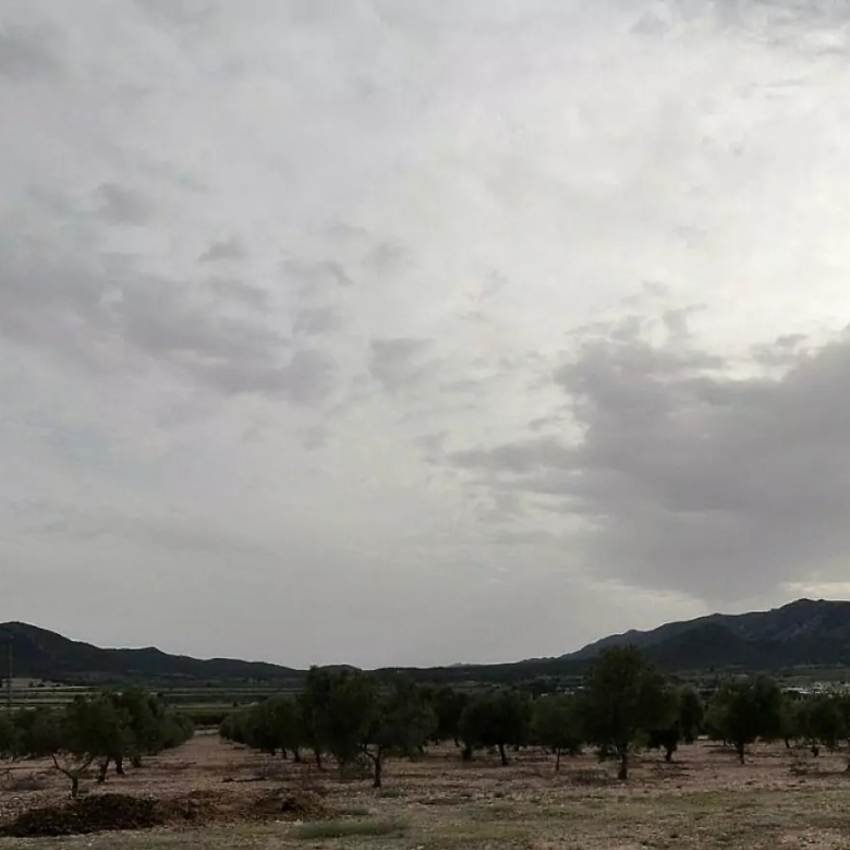 Villa in Salinas (Ref: 5031 MT4829)