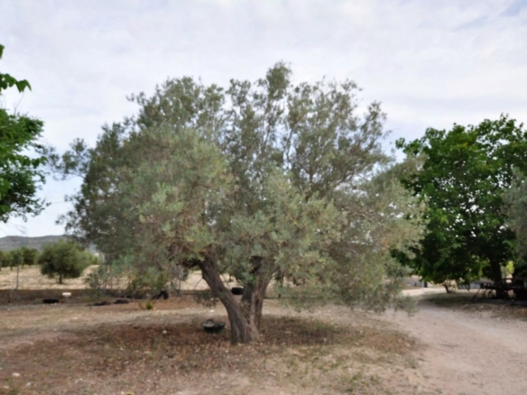 Villa in Salinas (Ref: 5031 MT4829)