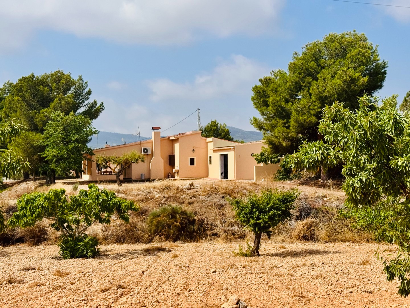 Villa in Monóvar (Ref: 3201 DNV0587)
